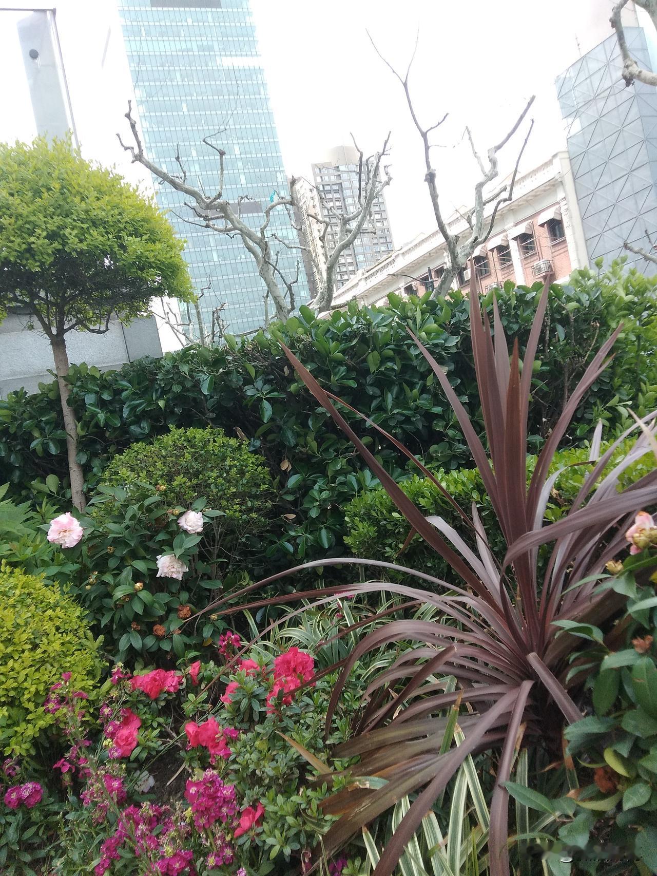 今天春雨绵绵，本来心情是开心的，可是却因为一些事情，却高兴不起来。上午单位购买