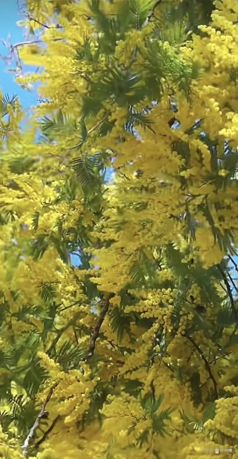 女子40岁了，离婚5年了，带一13岁女儿，一直没再找，想听听情感老师的意见。情