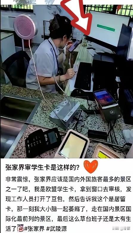 全网力挺张家界售票员！依规办事被网暴硬刚到底，这股骨气太难得了，近期张家界景