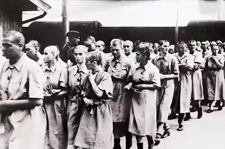 二战犹太女人有多惨？德军强迫她们“集体洗澡”，集中营肆意折磨1942年3月，