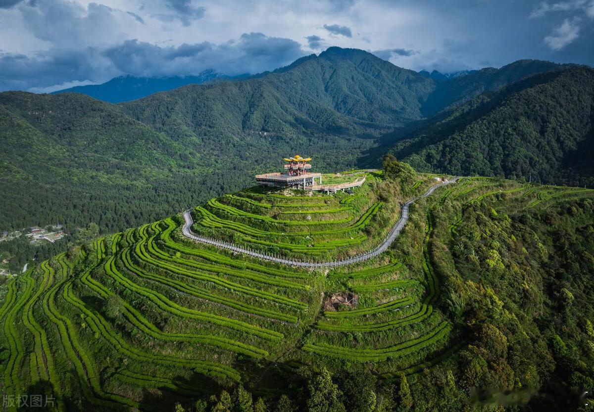 五月，是夏天的开始，也是故事的开始，去见你想见的人吧，趁着五一假期，阳光正好，趁