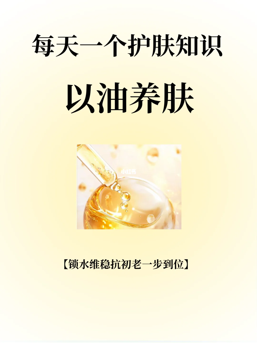 每天一个护肤知识：以油养肤