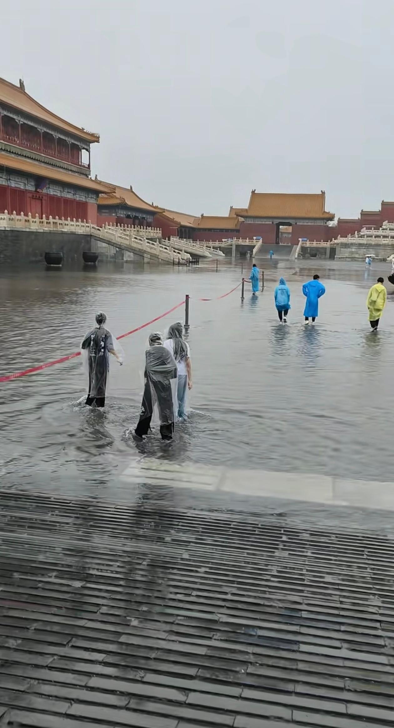 别说前两天故宫变龙宫了，上海的水位都来到这了😂​​​