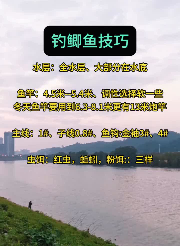 钓鲫鱼技巧。·水层：全水层，大部分在水底。·鱼竿：4.5米--5.4米，