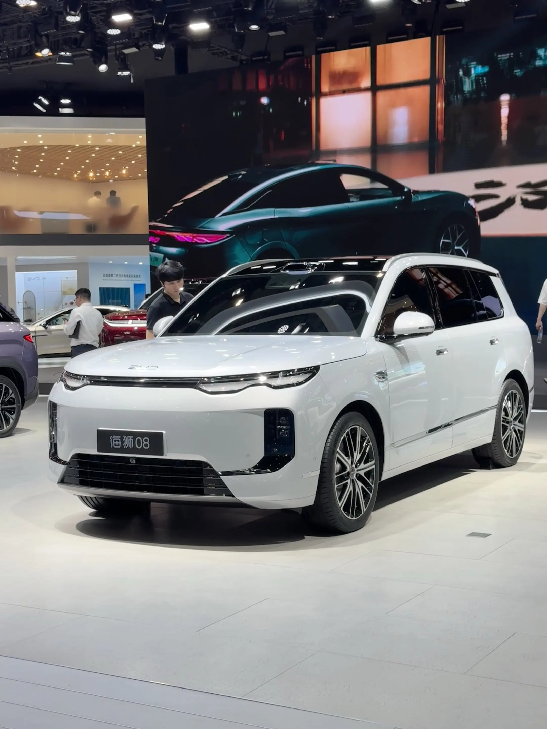 C16已上市（中大型SUV，增程/纯电双动力，主打“顶配平权”性价比），海狮08尚未正式发布（比亚迪