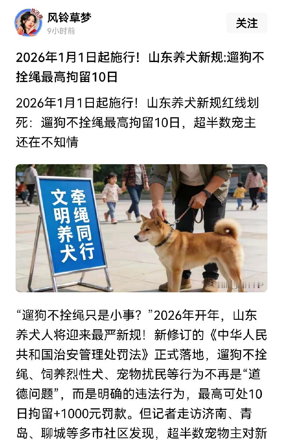 山东开先河，养狗人要注意了，2026年开始，在山东遛狗不拴绳可能要拘留了。
