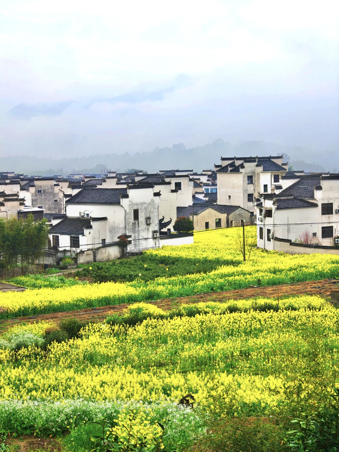 3.24 Live | 烟雨徽州，写给春日的诗篇！