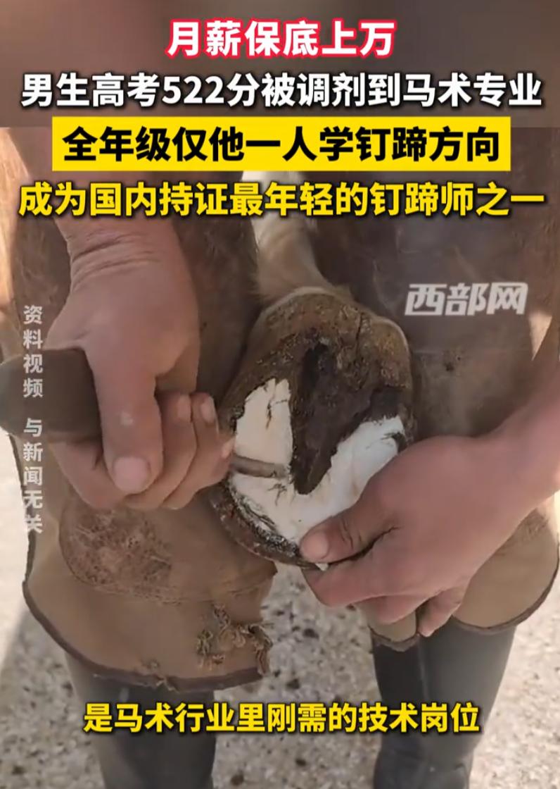 果然是物以稀为贵！武汉，一男生高考考了522分，报志愿时填了服从调剂，结果被分到
