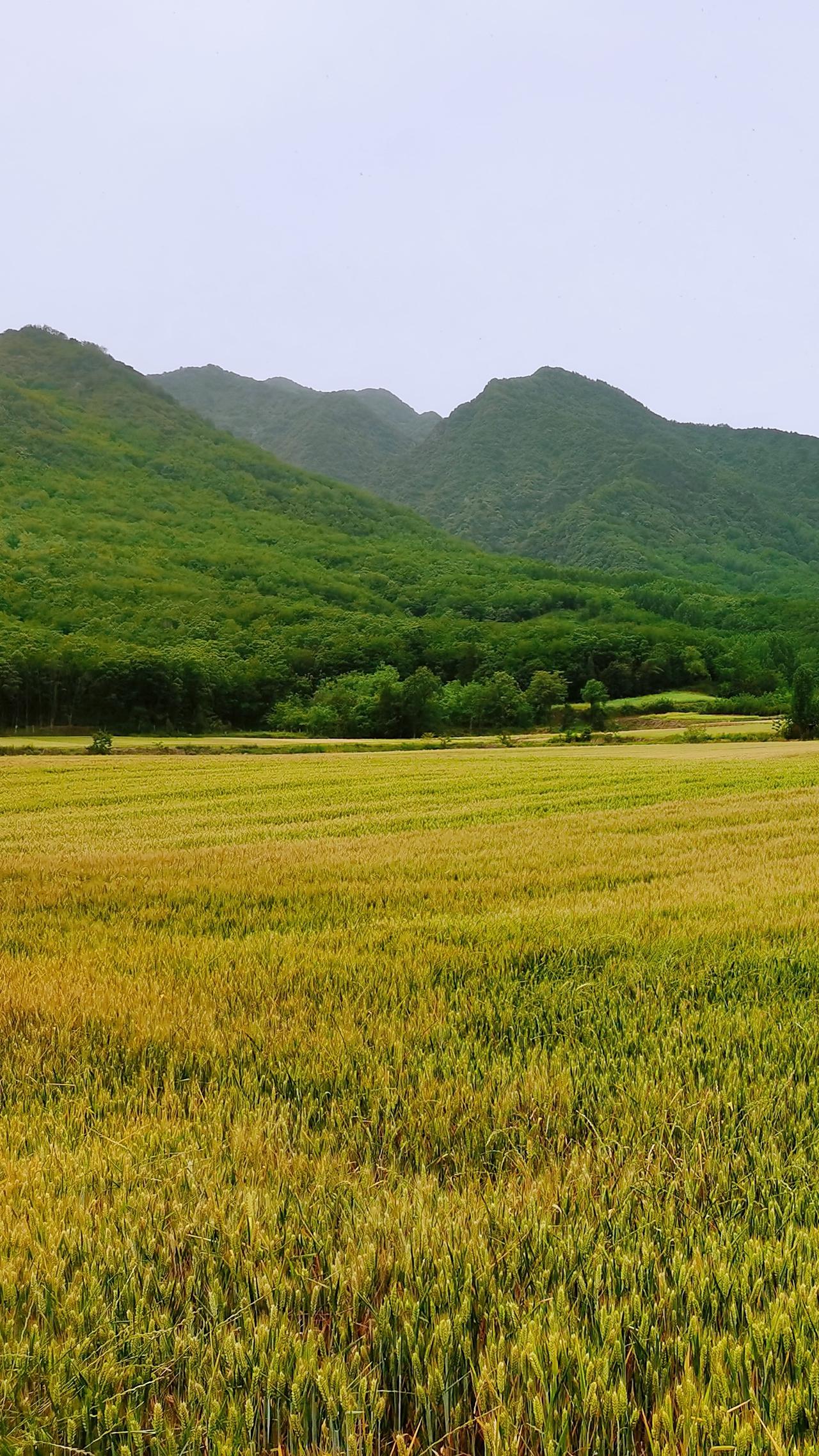 男人一生最大的坑不是没钱，是娶错了人别再犯傻了二十多岁看脸三十岁以后看命