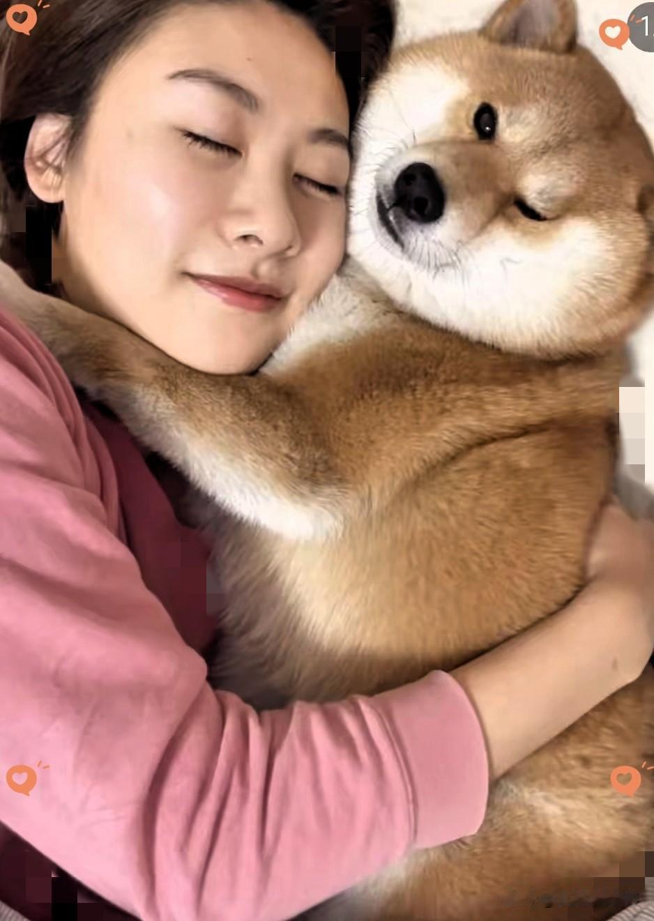 广州一女子天天抱着杜宾狗睡觉，但狗到了发情期，老往她身上蹭！无奈之下，女子将狗狗