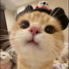 嘿嘿晚上好哦​​​