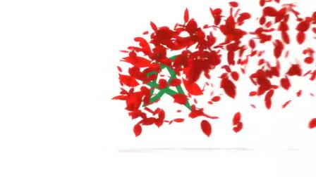 经典鱼跃:回顾历届世界杯经典[晚间体育新闻