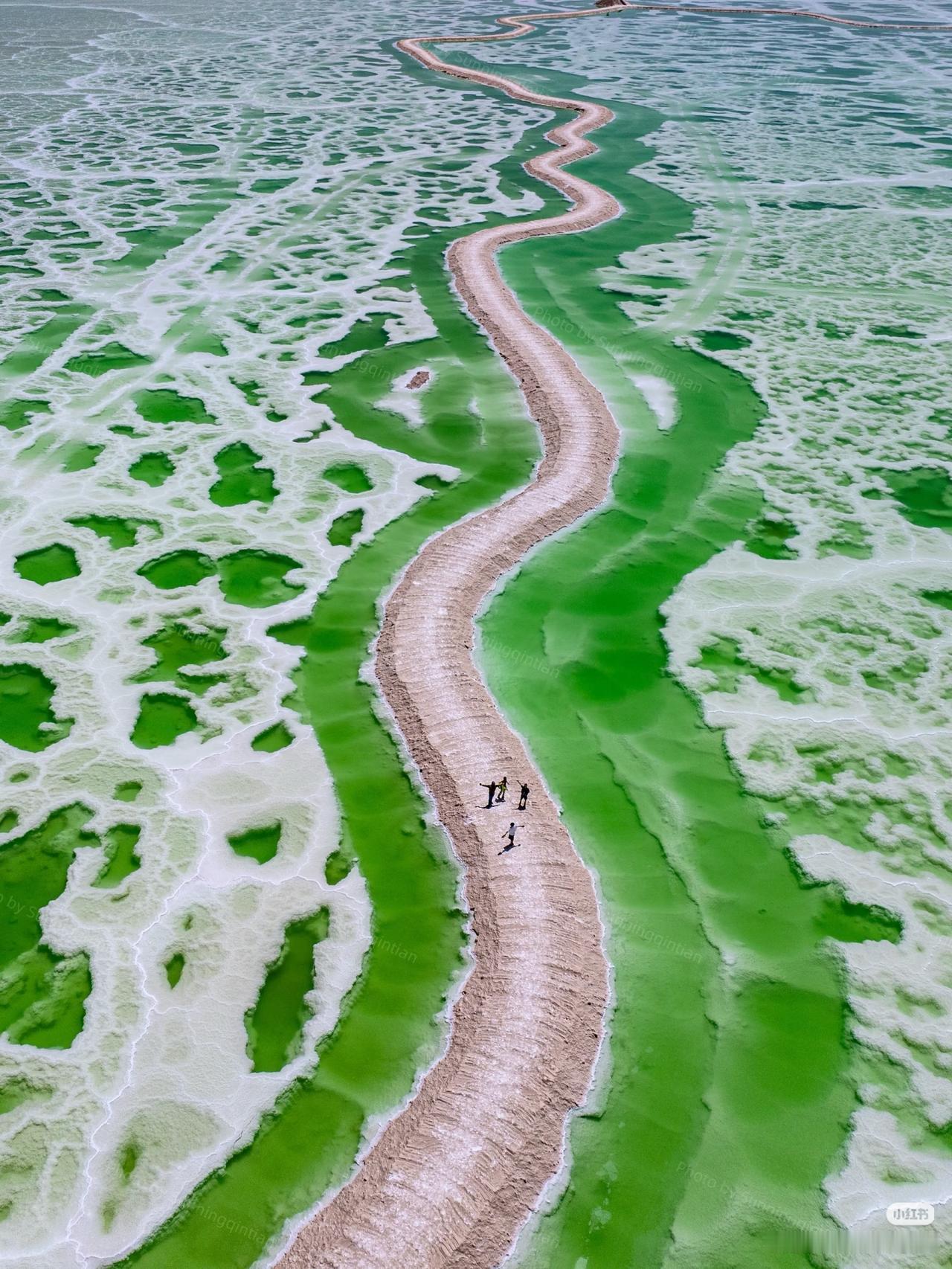 青海你为什么不宣传这里？真的被美哭了💚晴天的翡翠湖简直杀疯了！！！好小清