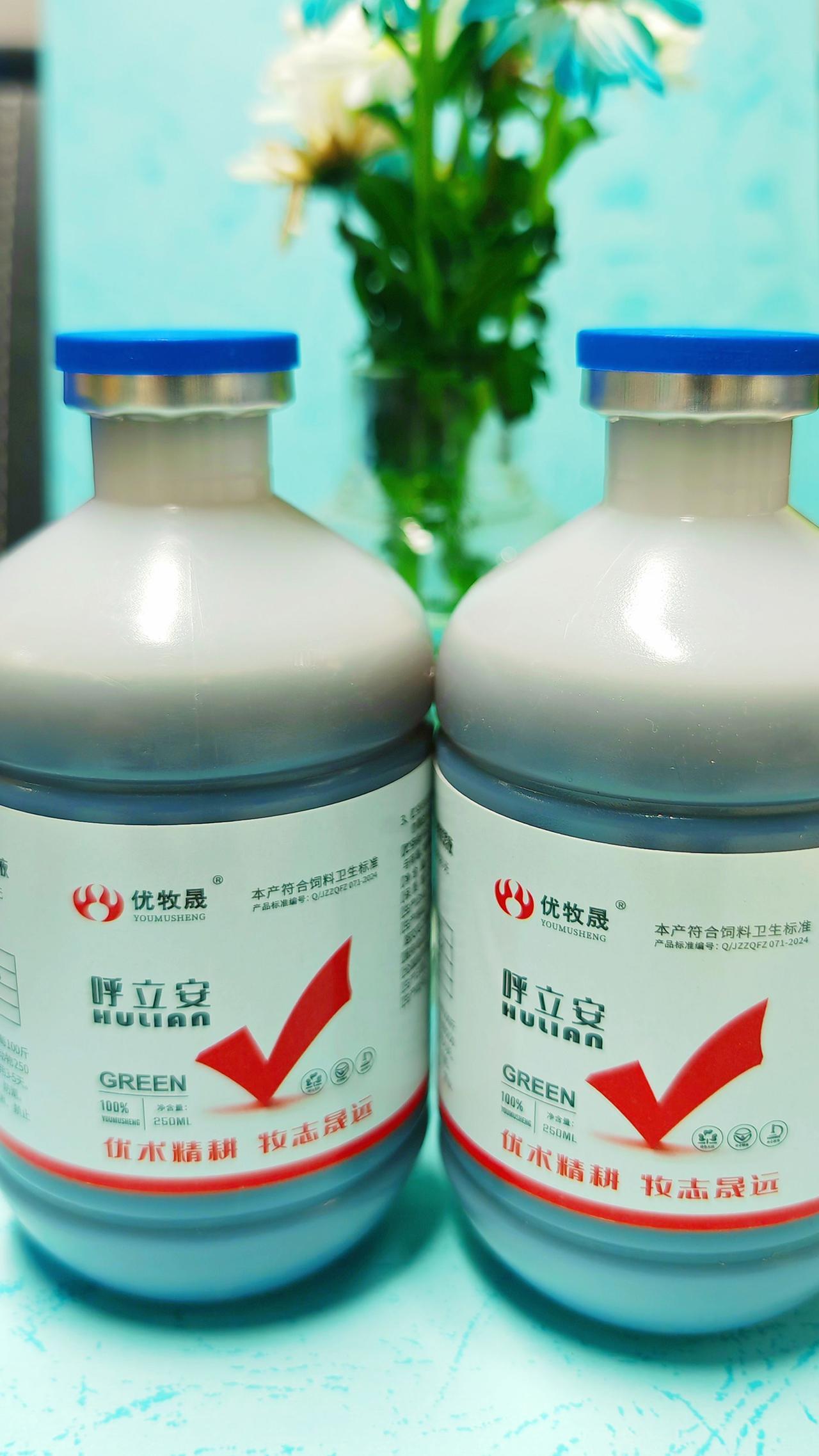 养羊人牛羊养殖农村养羊