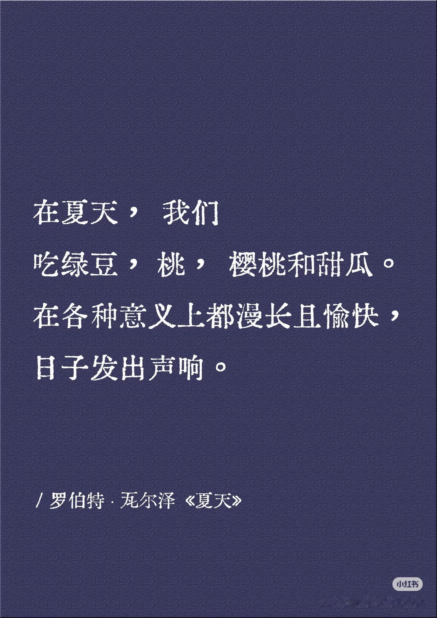 文学作品里那些清新明朗的夏天。我稍微想象了一下我们的夏天，预感到它一定安静而清新
