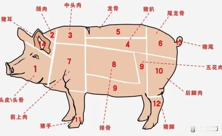 有个问题，不知道大家发现没有？以前猪肉卖到将近30元一斤，你去卖肉夹馍店铺吃一