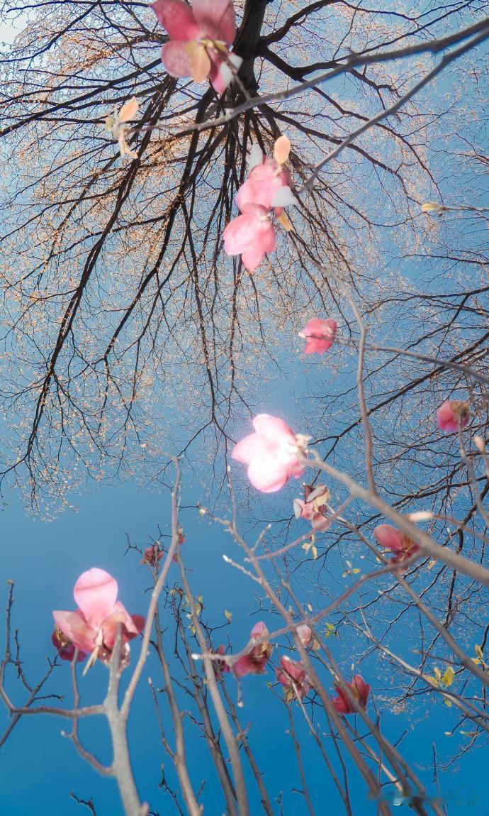 把情绪交给山川湖海，让阳光晒暖疲惫的灵魂。不必在人群里争输赢，天地有大美而不言，