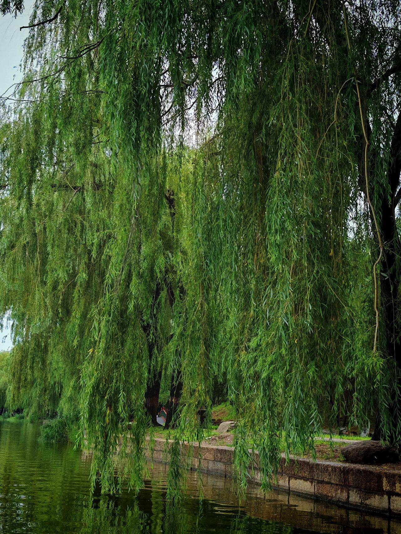 这是一个测试