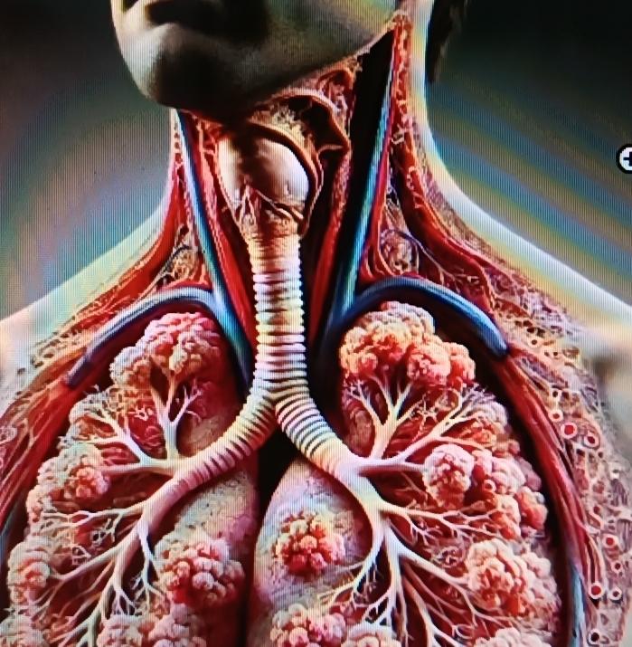 甲流退烧后还一直咳嗽真的太折磨人了！我之前甲流好了之后，就咳个不停，嗓子里感觉总