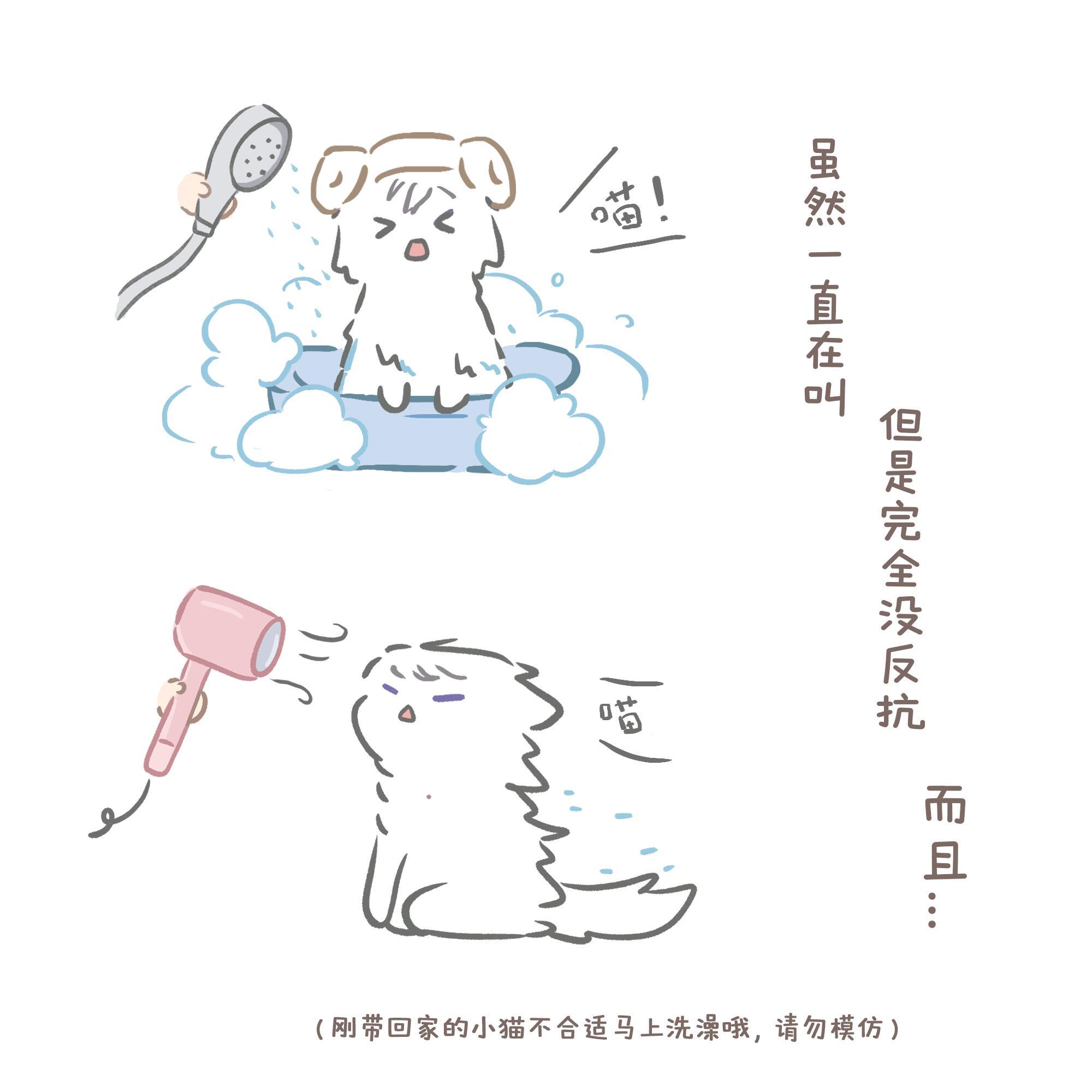 就这个夏萧因萌白菜价，捡漏买来的小猫世界之外手游​​​