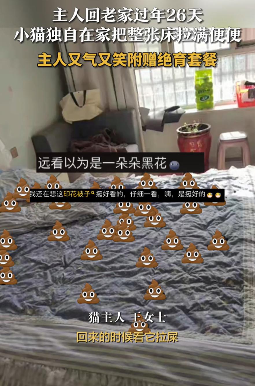 一回家天塌了！新疆和田，女子回老家过年待了26天，把小猫独自放在家里，回来时虽然