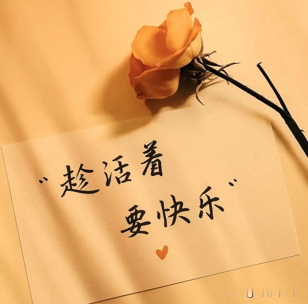 一辈子就这么一次真的犯不着太较真呀～那些可有可无的牵绊该放就大大方方放下