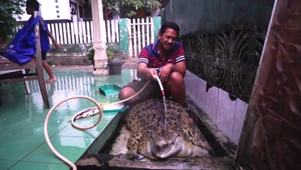 15天快速精通solidworks视频教程 (102)_土豆视频