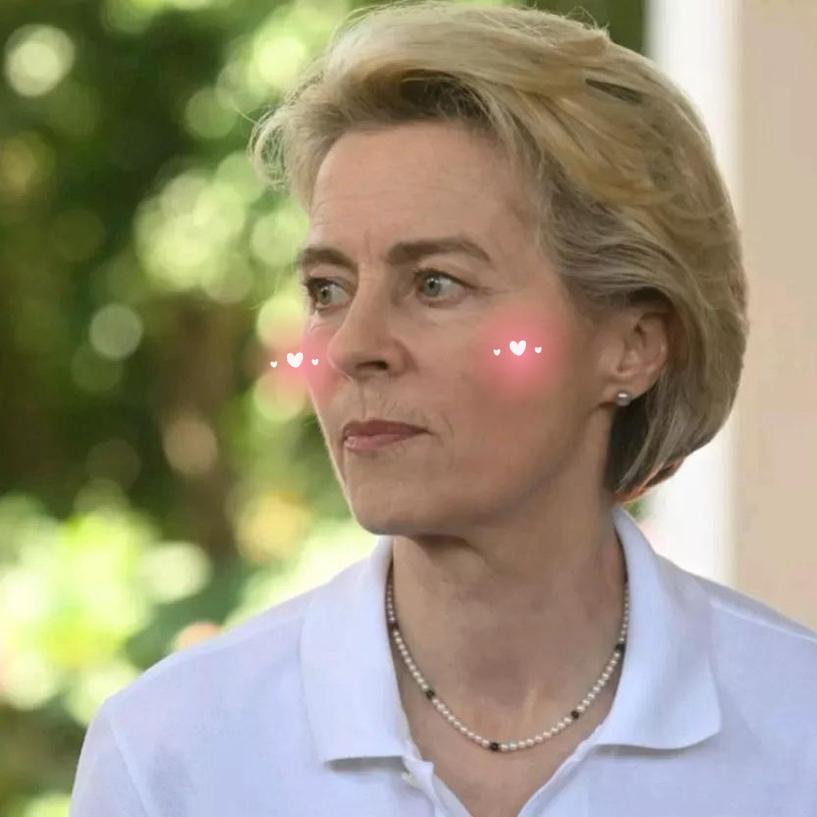 《费加罗报》报道，当地时间27日，一名白宫官员证实，在欧盟和欧洲领导人的一致要求