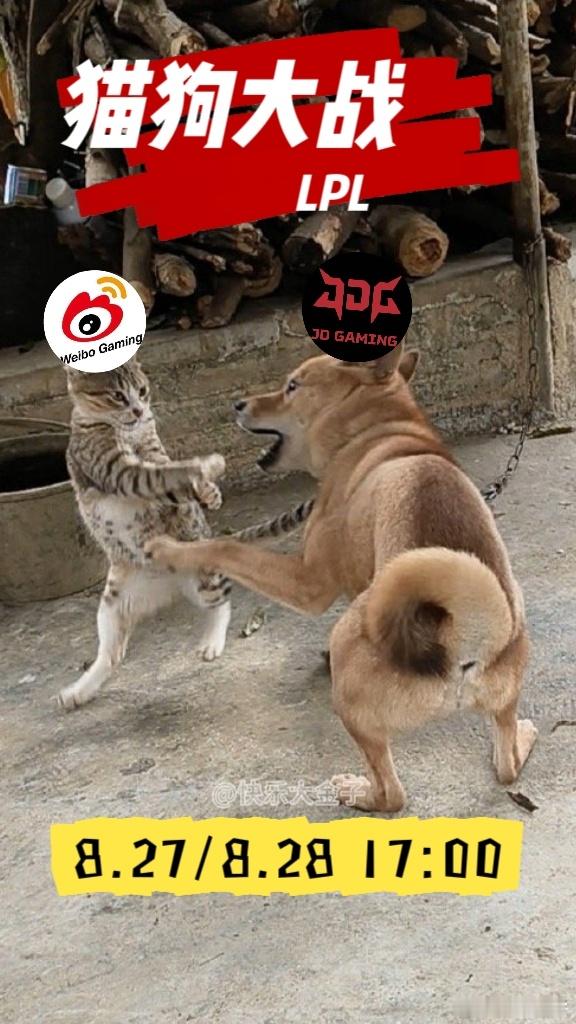 LPL猫狗大战WBG刚刚获得[doge]的赞助，今明两天背靠背打JDG。两队一边是