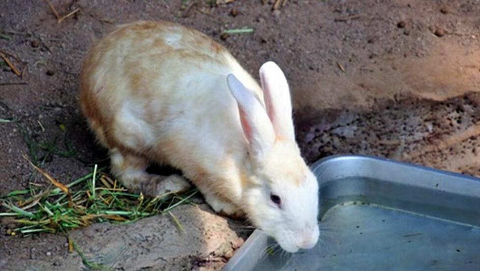 34717320563749548.jpg?id=0