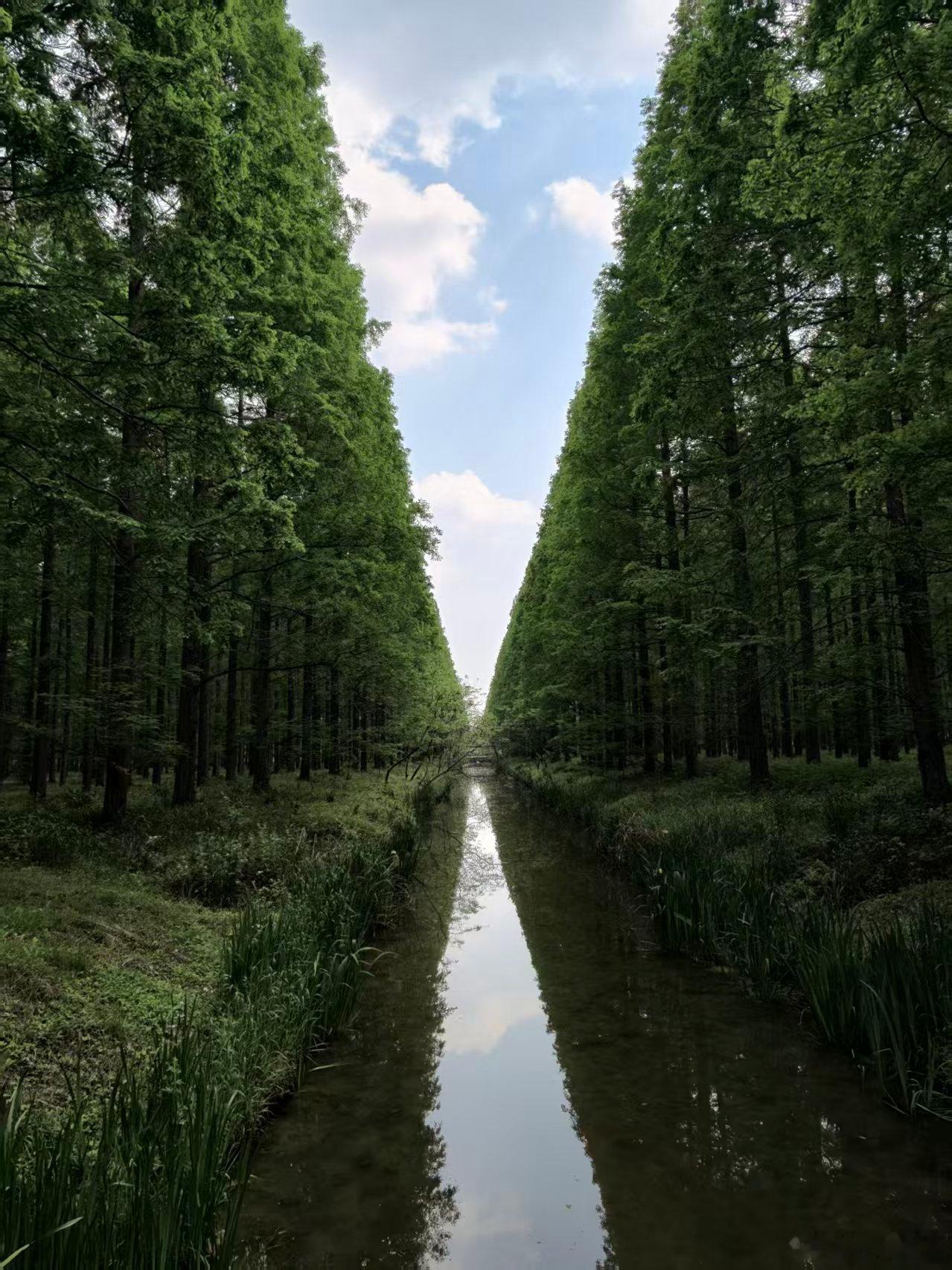 情志不调，胃先遭殃！叶天士用泄木安土四字破解反酸、气冲之谜现代人常把“气都气饱了