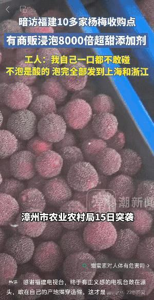 注意，杨梅塌房，部分杨梅不能吃了，被浸泡的杨梅都发往浙江和上海了。商户把收购来的