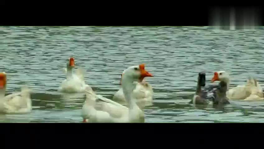 3471944273563736325.jpg?id=0