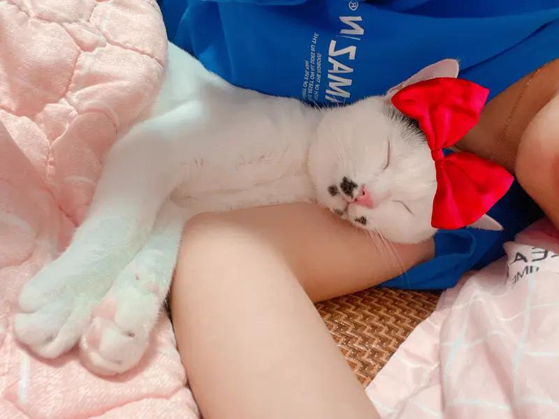 富二代破产以后的生活是怎样的?富二代家里破产，那落差感可不是一般大。之前有个朋