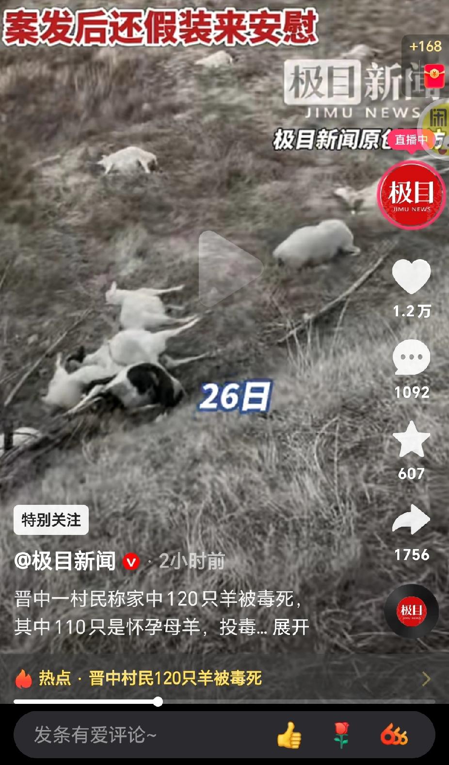120只羊全部毒死！其中110只羊是怀孕母羊。网友们都慌了，说：今年这是怎