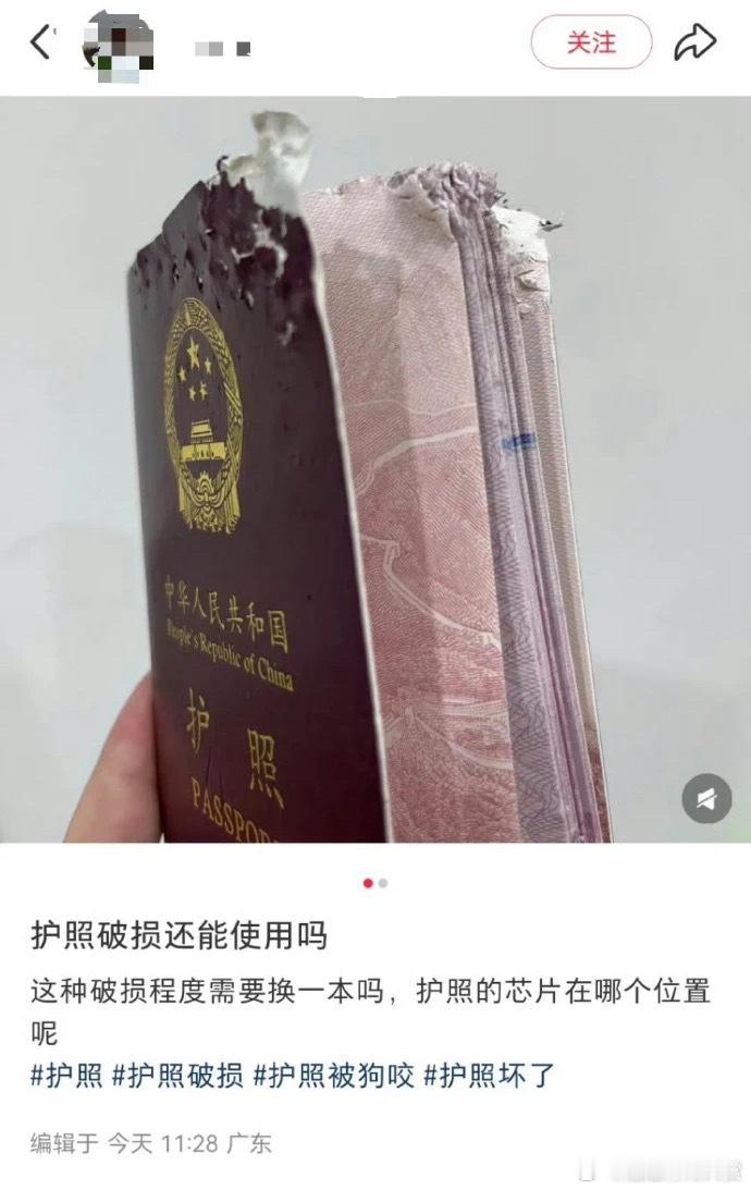 实用三字经分享给大家迷惑行为大赏​​​