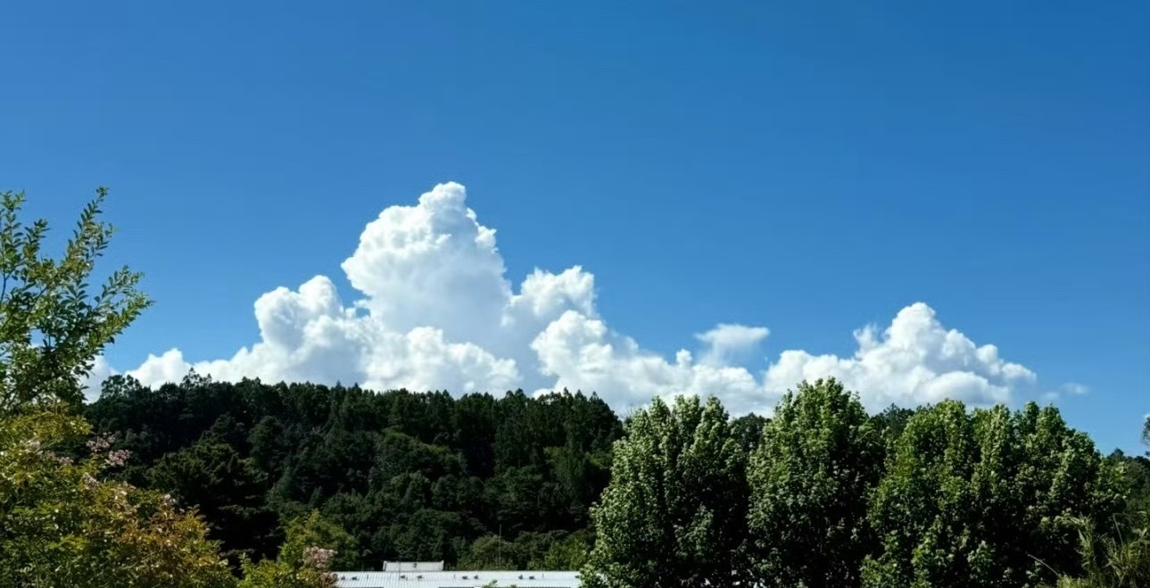 10块钱油条，困住我妈半生怨气
