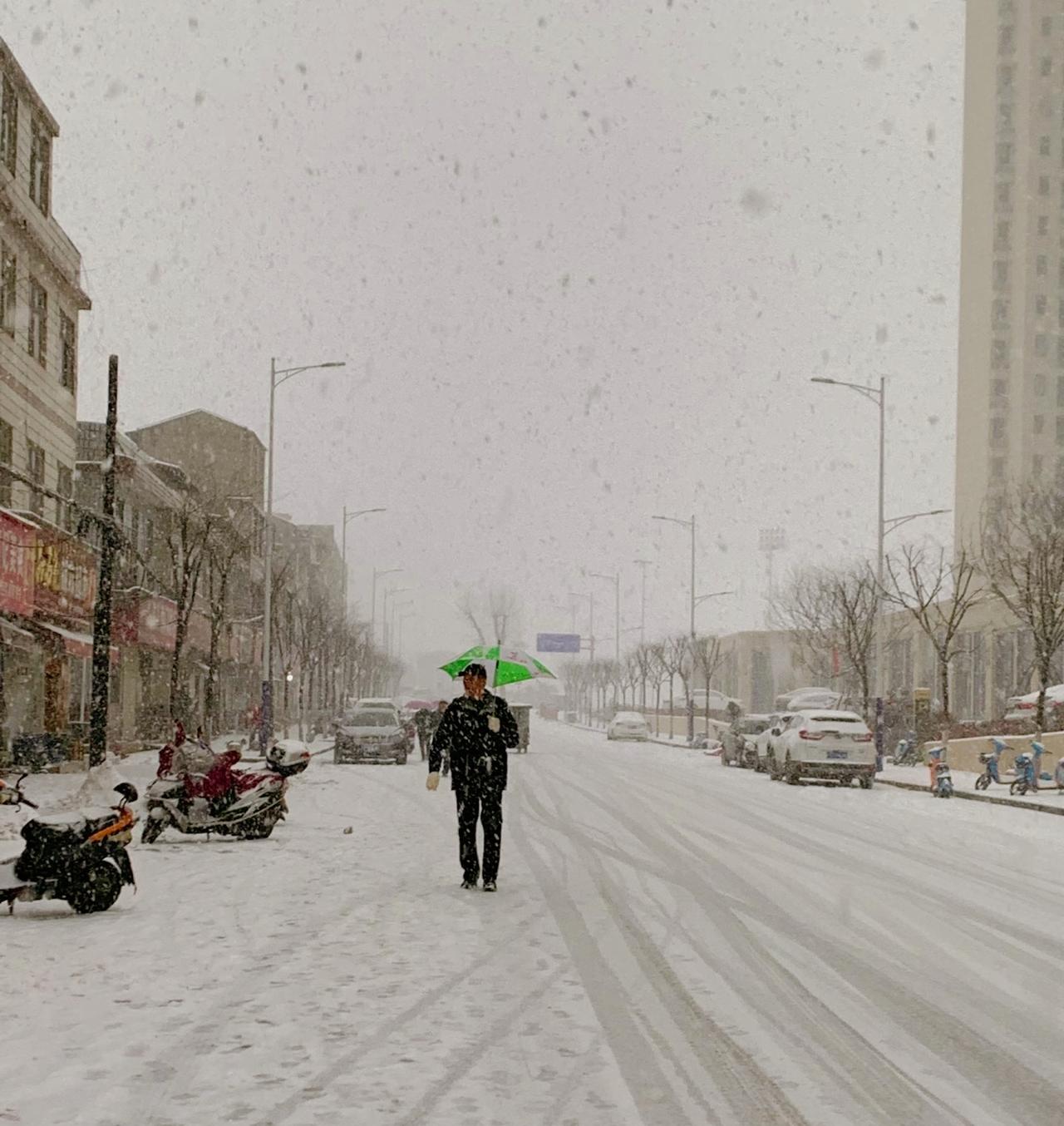 在这个薄情寡义的世界里树坏在根人坏在心，所有伤害你的人都是故意的，有人会挑逗一只
