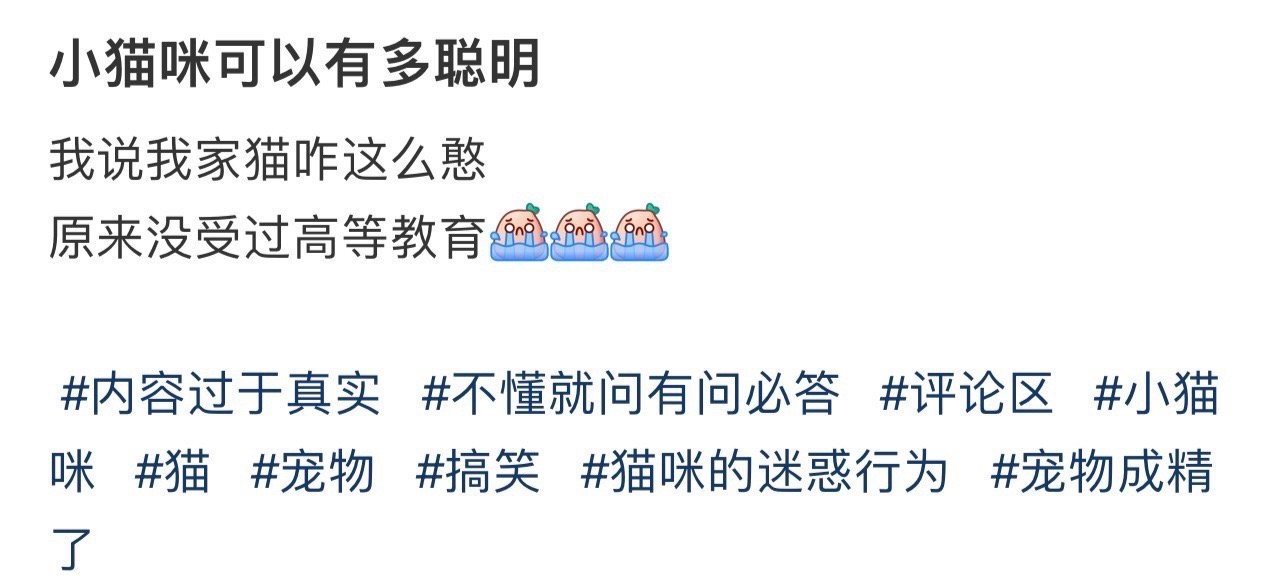 小猫咪可以有多聪明！！！