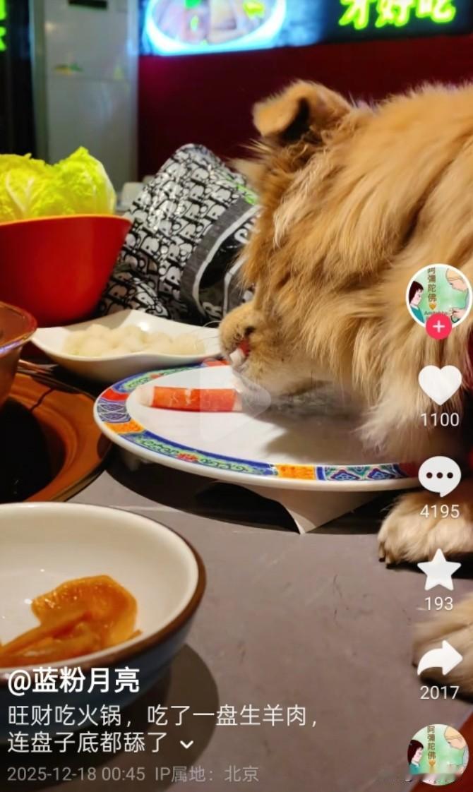 让狗舔盘子、上桌吃肉卷的女子最后发布的一条视频内容是：南门涮肉让她删除视频，她删