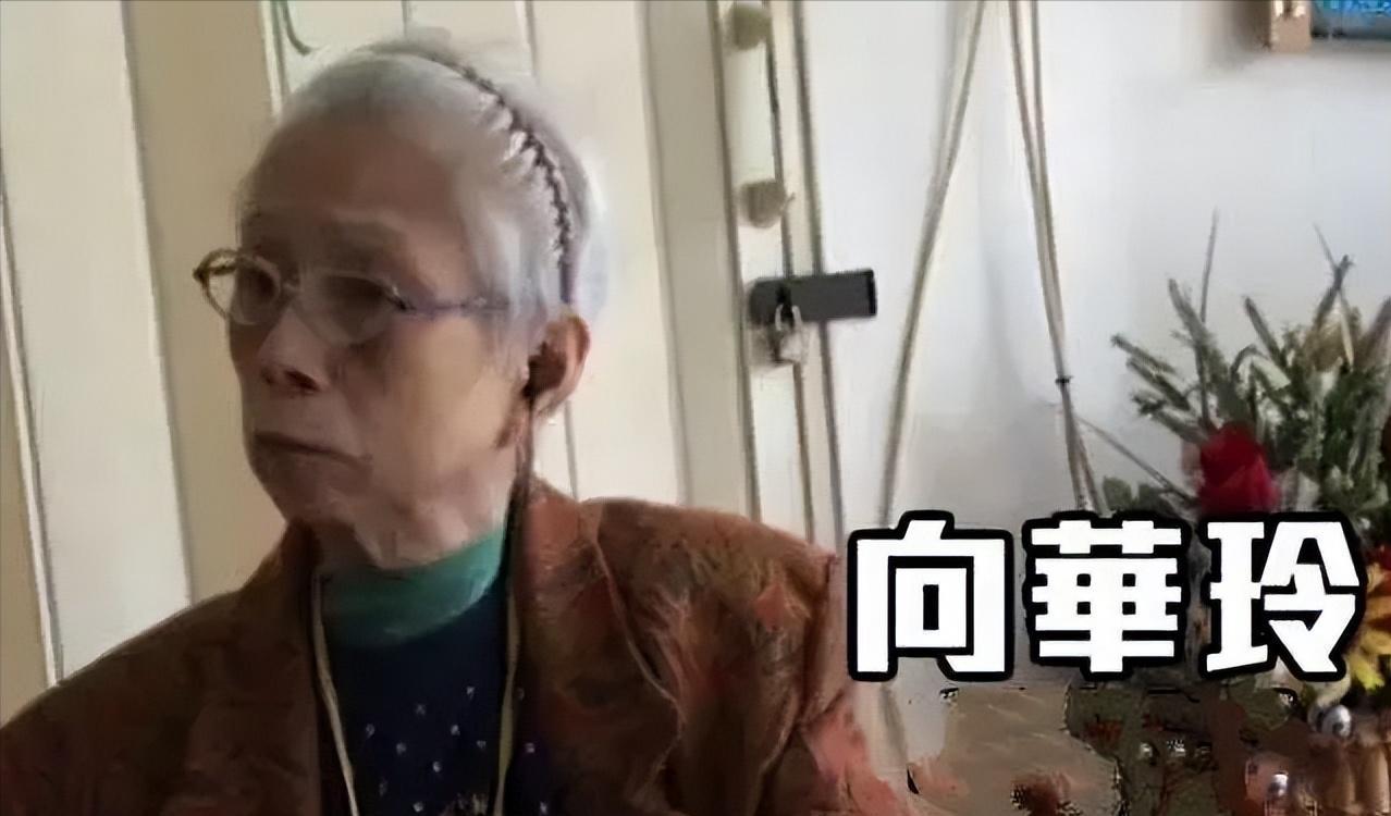 嫡长女死了。向家没发讣告。向华玲。这个名字你大概没听过。但她是向前原配生