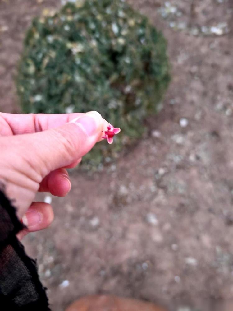 一个妇科医生朋友，跟我说了句最扎心的大实话。简单说，就是她那天跟我聊天时，用