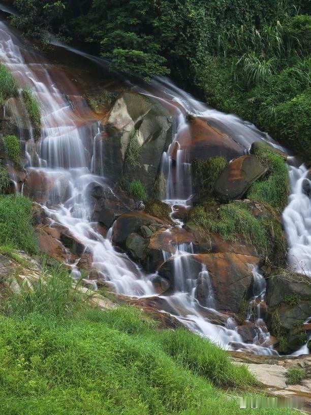🌿白水山森林公园一日游全攻略藏在市区的宝藏森林！既能吸氧又能拍大片，这份保