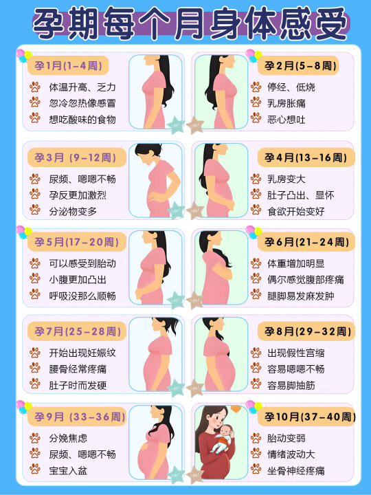 孕期每月身体变化➕每月该做的事！转给家人看