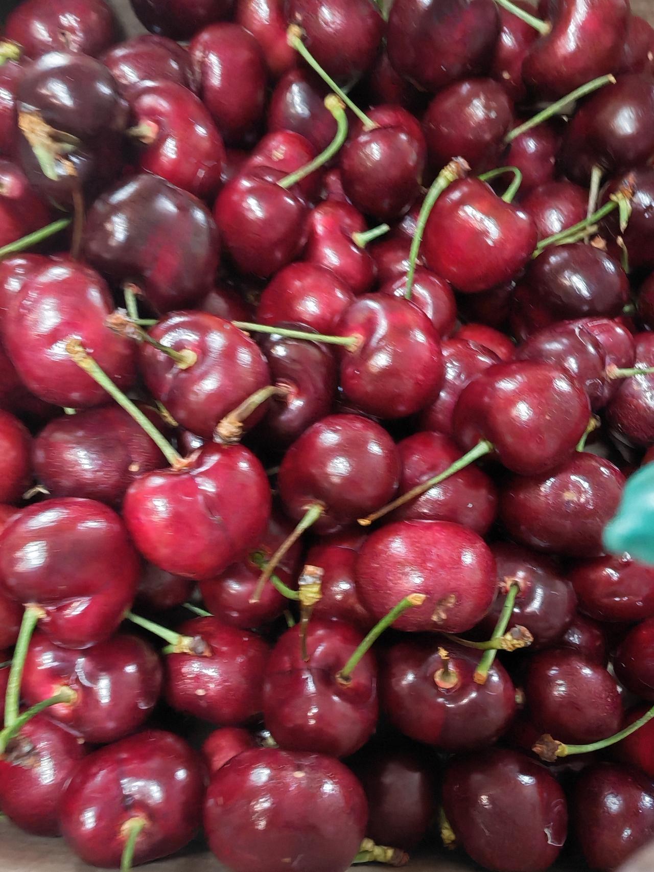 车厘子，5斤169元，半斤29.9元，买哪种划算？我买了5斤，发现几个坏了的