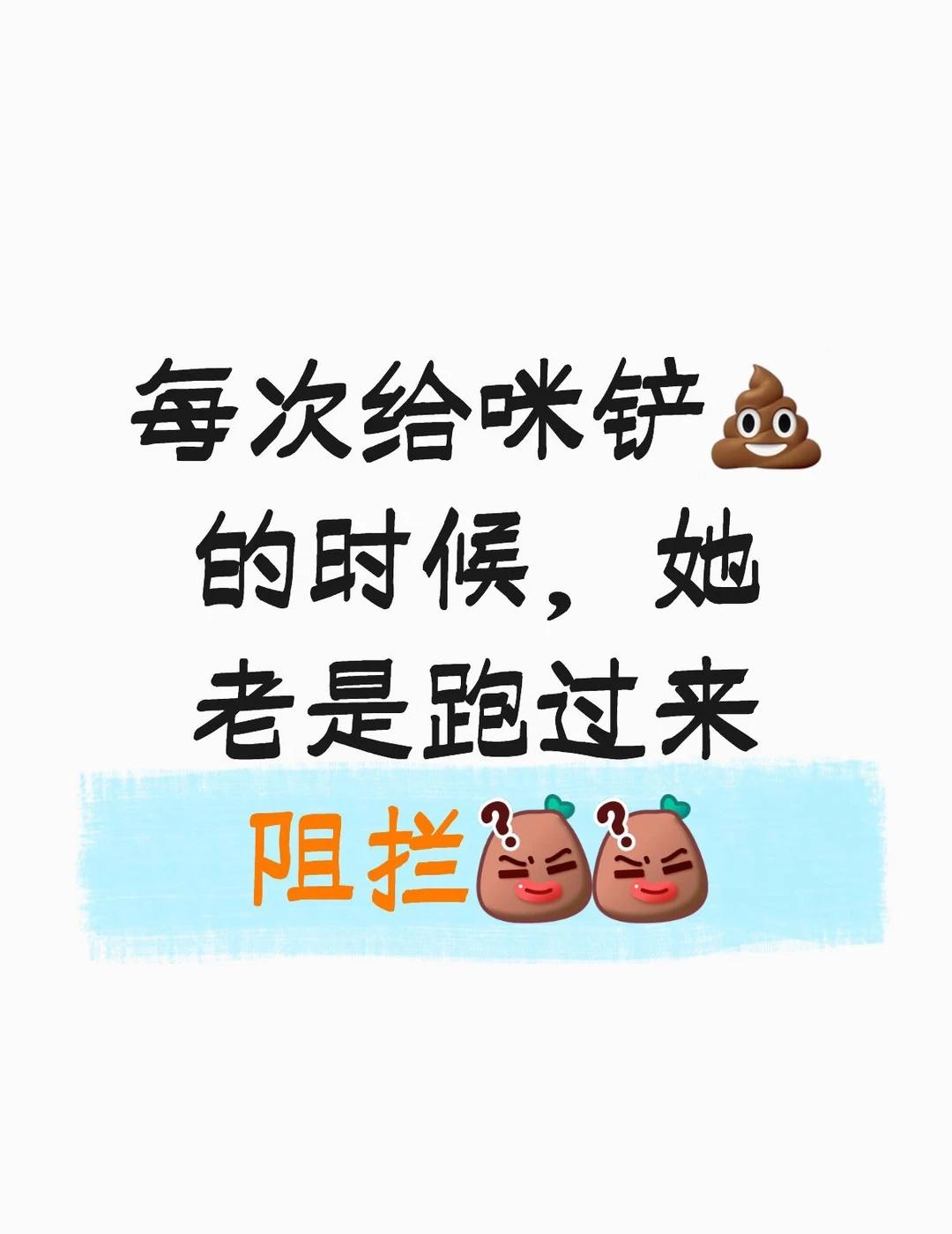这是怎么回事？她的粑粑很金贵吗她认为[？？？][？？？][？？？]猫咪日