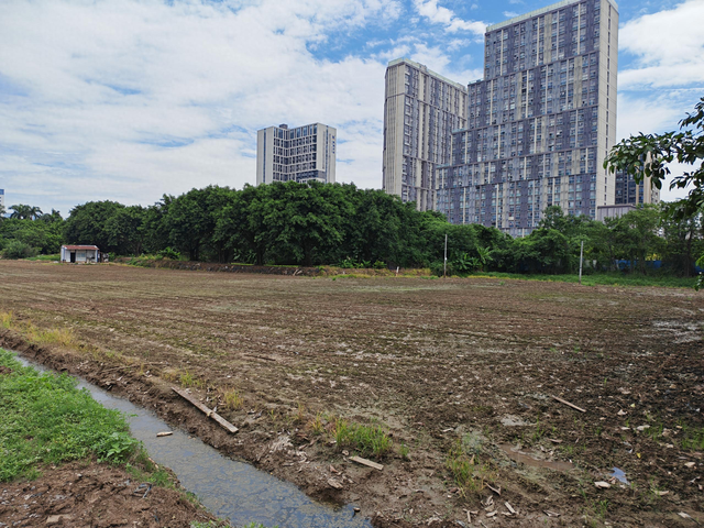供地20宗起拍总价超250亿元 广州土拍年末冲刺