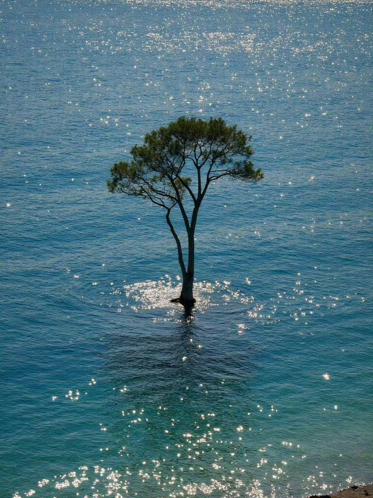 海风拂面，万事皆可释怀