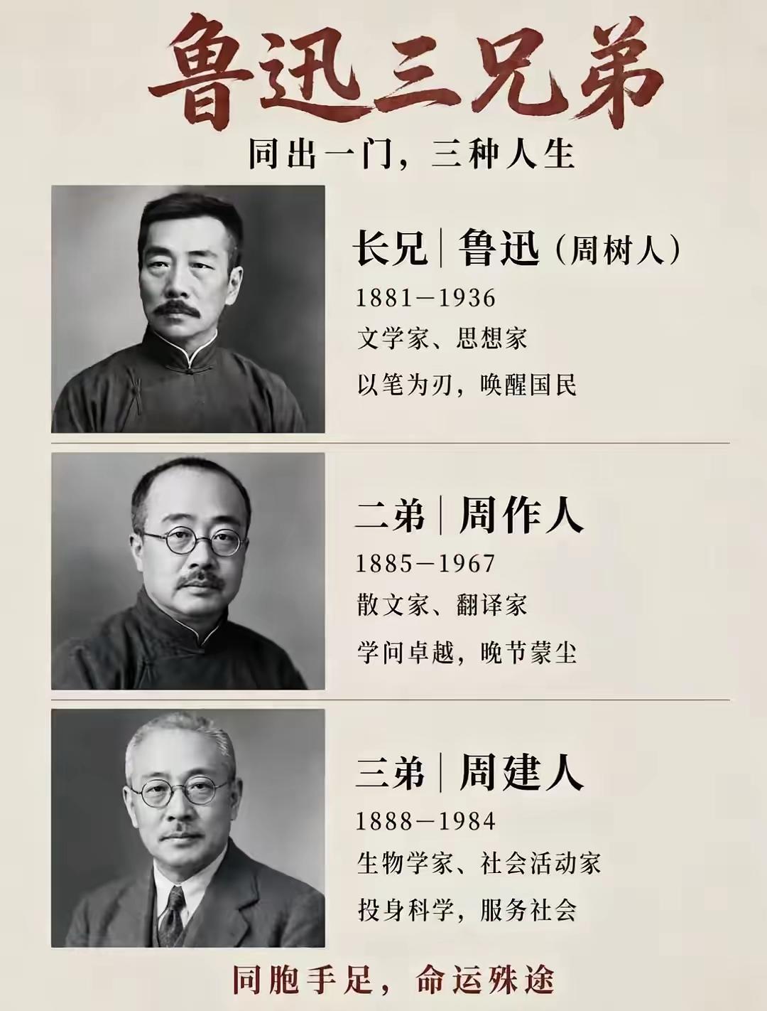 鲁迅、周作人、周建人三兄弟，本同父同母，年少一同苦读，却走向不同人生。早年，鲁迅