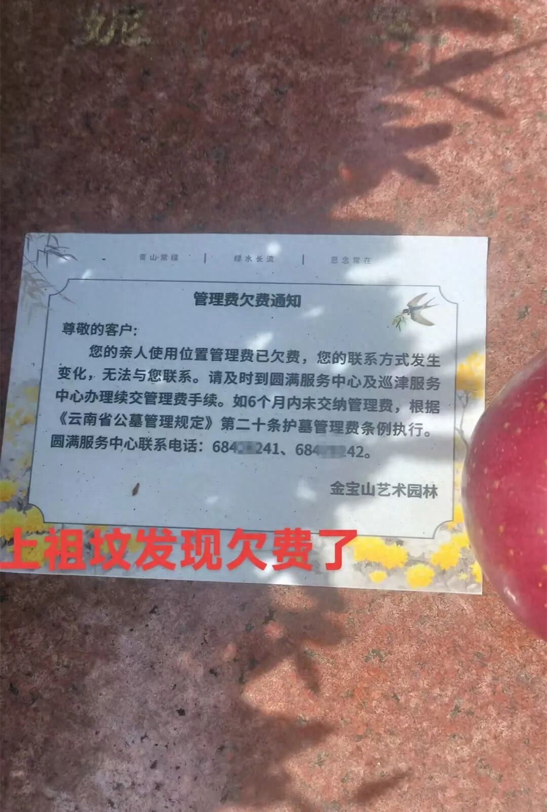 网友上坟发现墓碑被贴欠费通知单